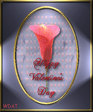 Have a wonderful Valentin'e's Day