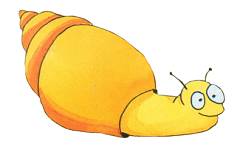 JFSnail1