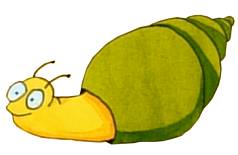 JFSnail6